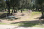 Lake Piru Olive Grove Campground 148