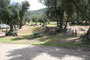Lake Piru Olive Grove Campground 150