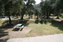 Lake Piru Olive Grove Campground 156