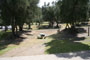 Lake Piru Olive Grove Campground 157