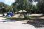 Lake Piru Olive Grove Campground 159