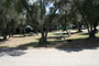 Lake Piru Olive Grove Campground 160