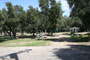 Lake Piru Olive Grove Campground 164