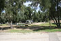 Lake Piru Olive Grove Campground 168