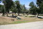 Lake Piru Olive Grove Campground 171