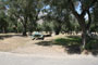 Lake Piru Olive Grove Campground 185