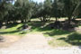 Lake Piru Olive Grove Campground 192