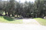 Lake Piru Olive Grove Campground 200