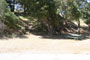 Lake Piru Olive Grove Campground 219