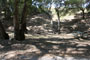 Lake Piru Olive Grove Campground 223