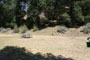 Lake Piru Olive Grove Campground 232