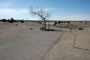 Lake Pueblo State Park 236