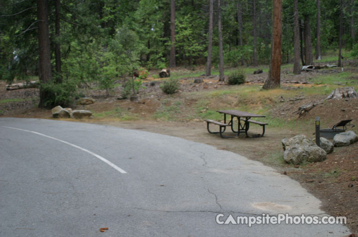 Forks Campground 008