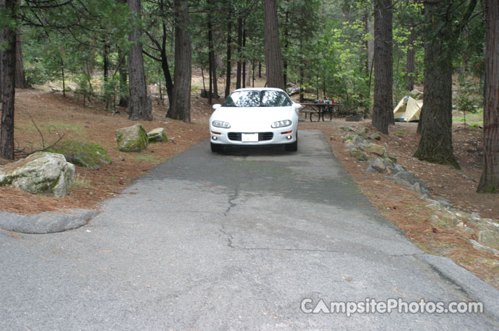Forks Campground 010