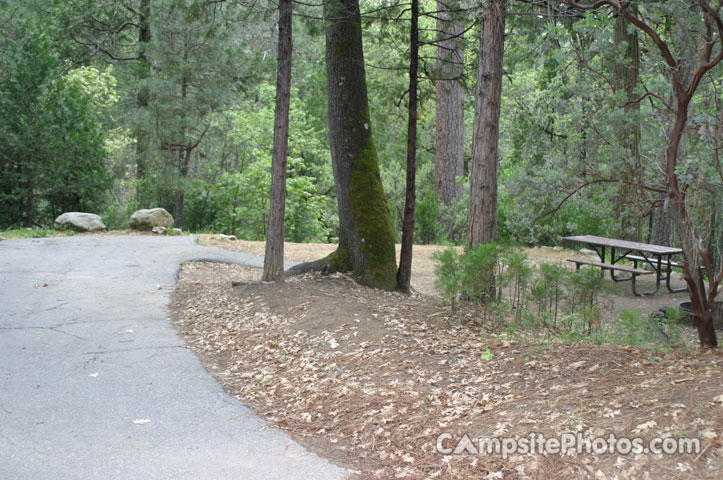 Forks Campground 020