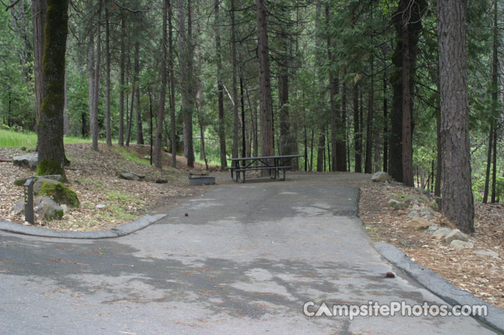 Forks Campground 022