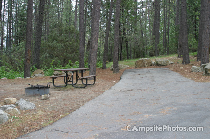 Forks Campground 024