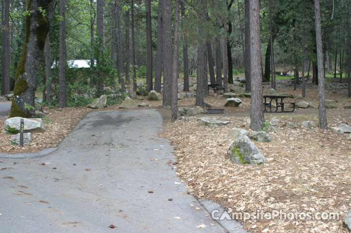 Forks Campground 027