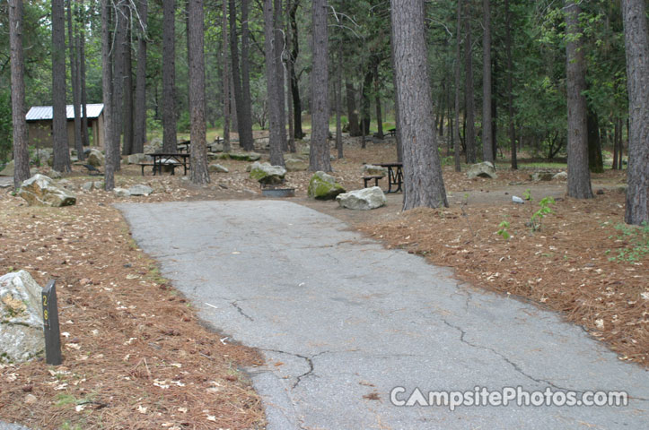 Forks Campground 028