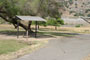 Horse Creek Recreation Area 023