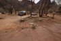 Zion South Campground 048