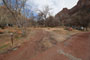 Zion South Campground 079