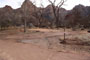 Zion South Campground 101