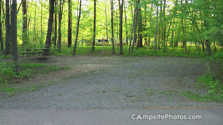 Black River State Forest East Fork Campground 003