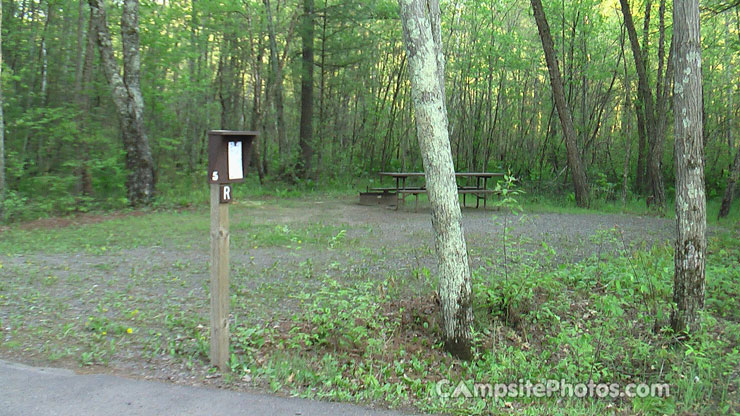 Black River State Forest East Fork Campground 005