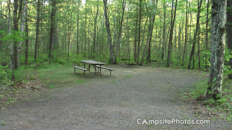 Black River State Forest East Fork Campground 006