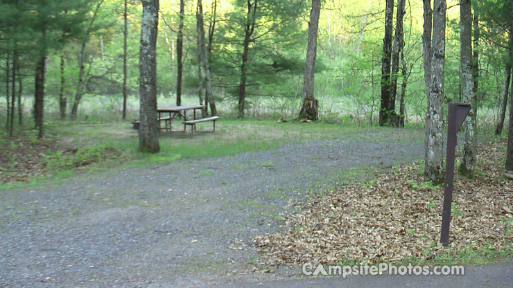 Black River State Forest East Fork Campground 018