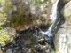 Singletree Falls