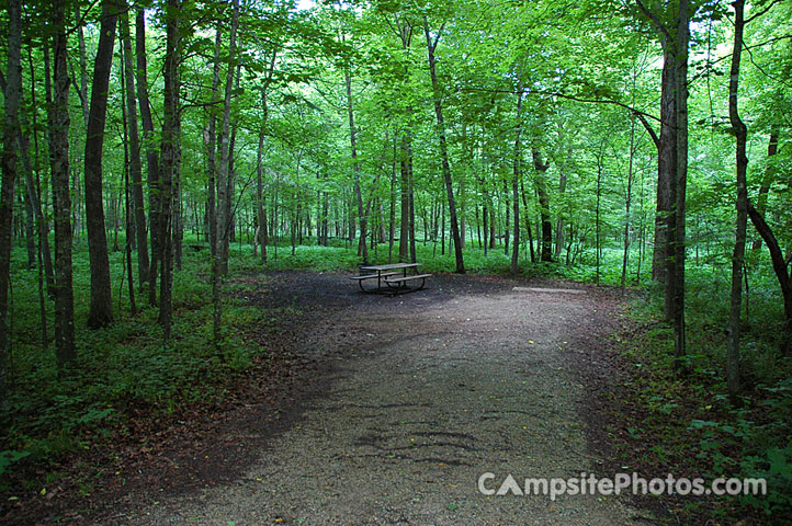 Forestville-Mystery Cave Main Campground 010
