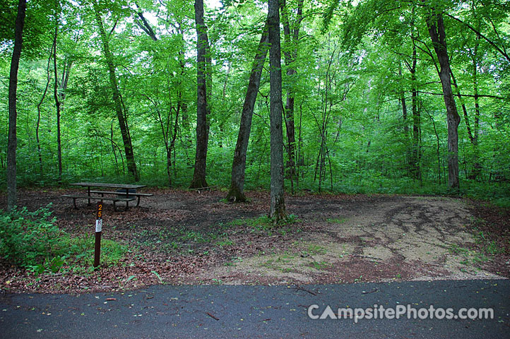 Forestville-Mystery Cave Main Campground 025