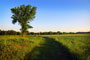 Buffalo River Trail