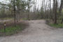 Itasca State Park Bear Paw 005