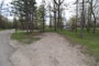 Itasca State Park Bear Paw 050
