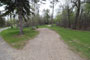 Itasca State Park Bear Paw 068