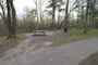 Itasca State Park Bear Paw 080