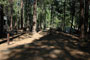 Upper Pines 005