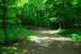 Father Hennepin State Park Maple Grove 091