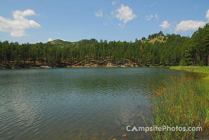 Custer State Park Center Lake View