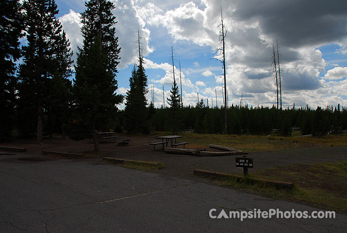 Yellowstone National Park Grant Village Group D