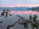 Flathead Lake at Sunrise