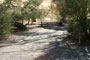 San Luis Reservoir Basalt Campground 059