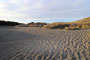 Bodega Dunes Dunes View