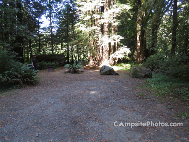 Del Norte Coast Redwoods State Park Mill Creek Campground 001