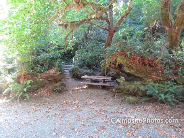 Del Norte Coast Redwoods State Park Mill Creek Campground 007