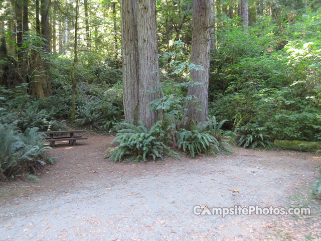 Del Norte Coast Redwoods State Park Mill Creek Campground 009