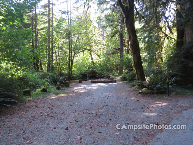 Del Norte Coast Redwoods State Park Mill Creek Campground 035